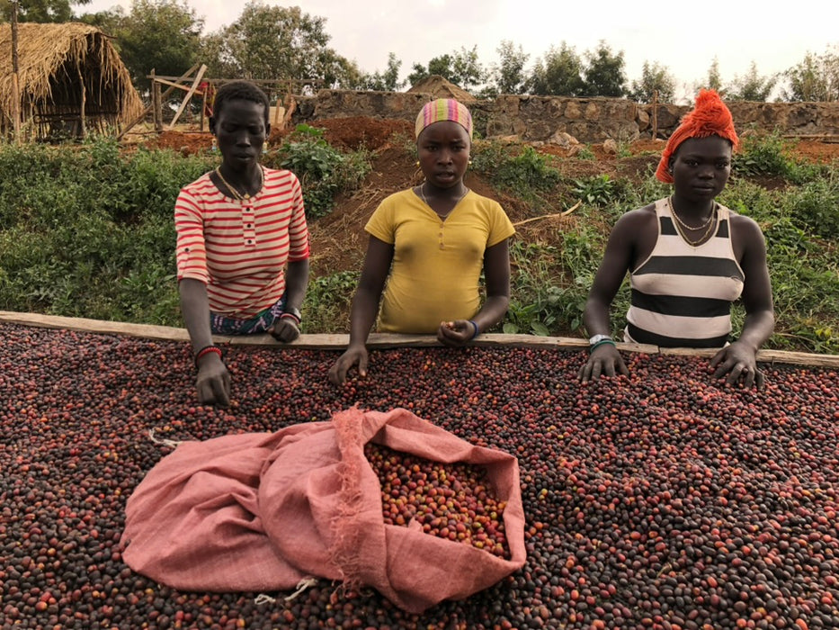 Gesha Village Lot E-37 - 150g