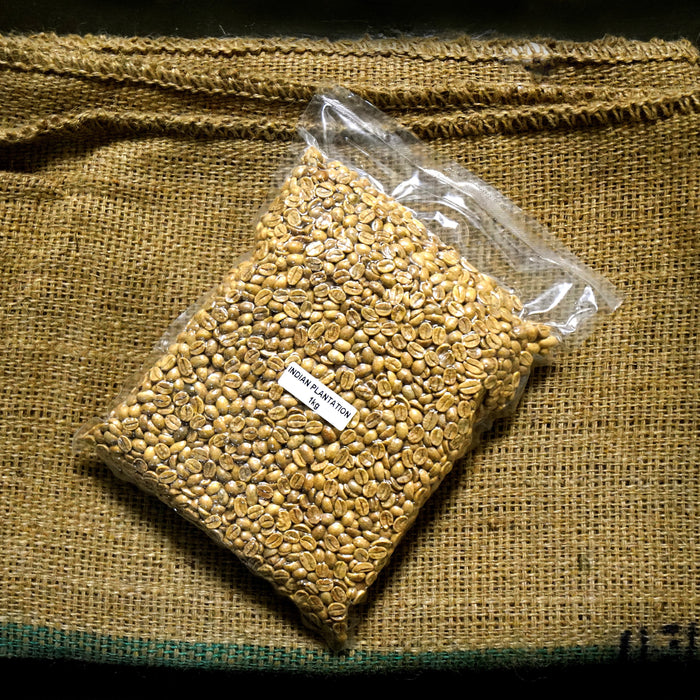 Indian Plantation Thippana Estate Green Coffee Beans 60kg (P800/kg)