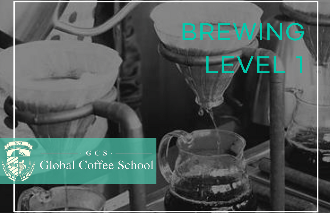 Global Coffee School: Techno Brewing L1