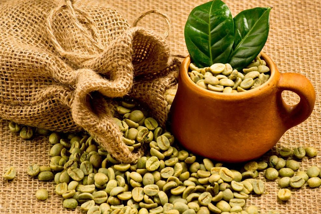 Panama Limonero Natural, Green Beans